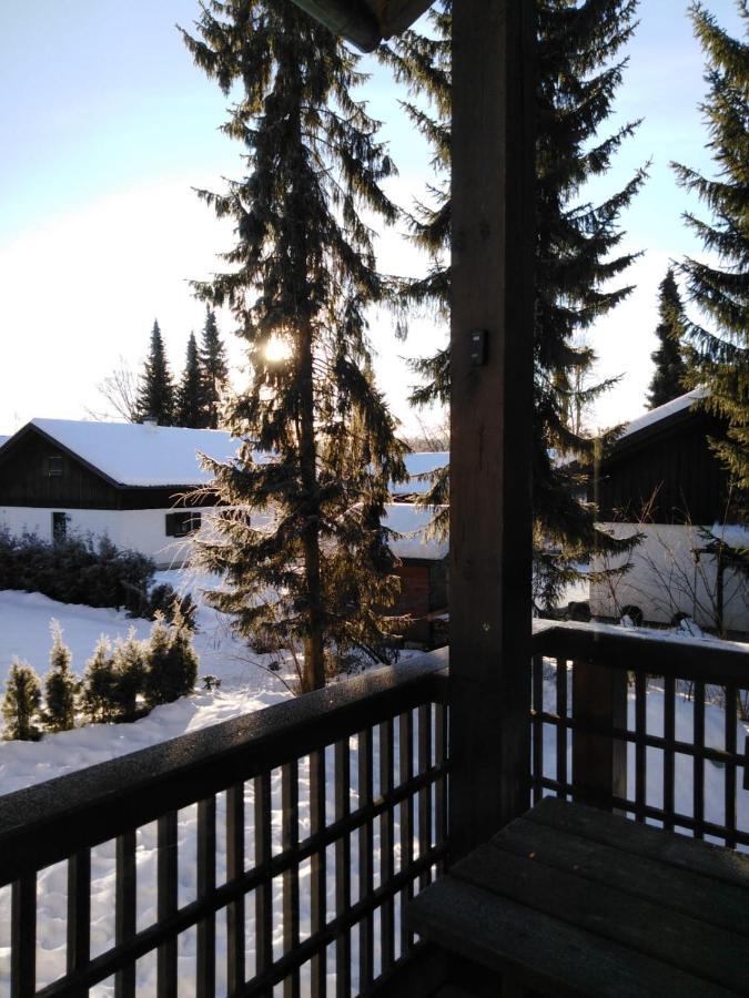 Ferienhaus Bayerischer Wald レーゲン エクステリア 写真